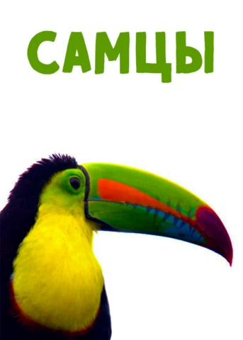 1 серия