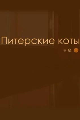 Питерские коты