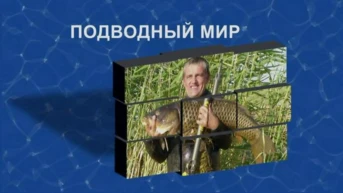 Подводный мир