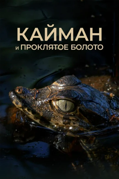 Кайман и проклятое болото