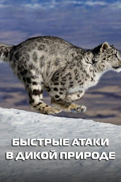 Быстрые атаки природы