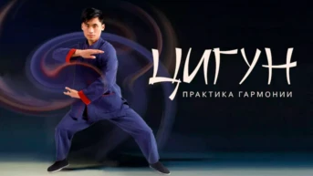 Цигун. Практика гармонии