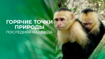 Горячие точки природы