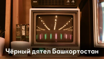 Чёрный дятел Башкортостан