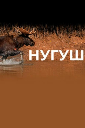 Нугуш. Вверх по течению - Олег Чегодаев