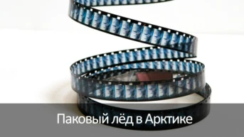 Паковый лёд в Арктике