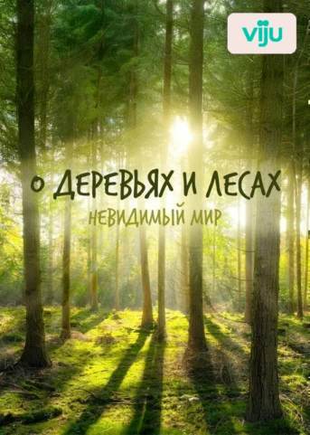 1 серия