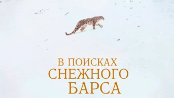 В поисках снежного барса