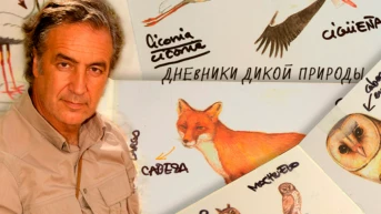Дневники дикой природы