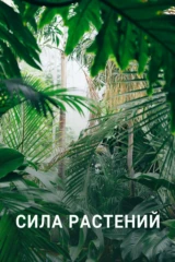 Сила растений