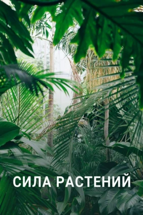 Сила растений