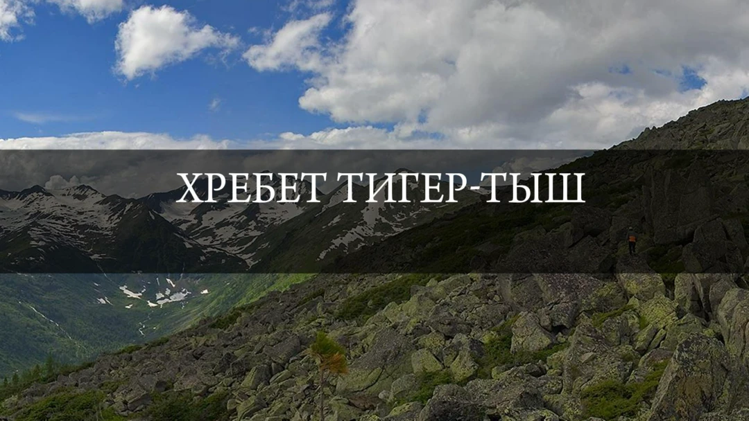 Передача Хребет Тигер-Тыш