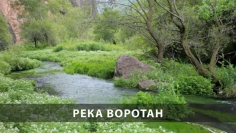 Река Воротан