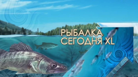 Рыбалка сегодня XL