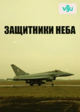 Защитники неба