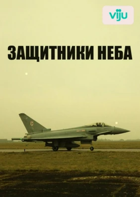 Защитники неба