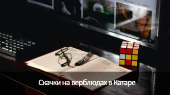 Скачки на верблюдах в Катаре