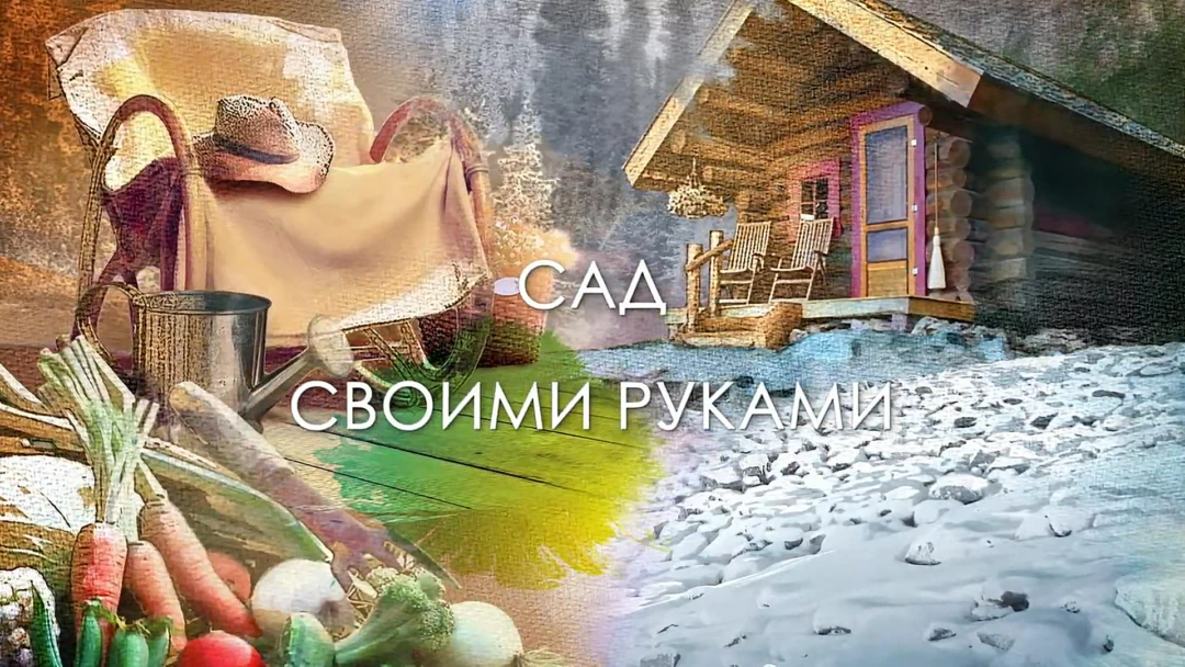 Передача Сад своими руками