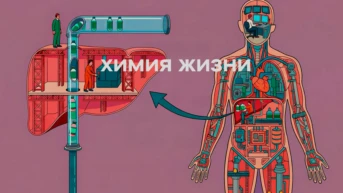 Химия жизни