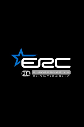 Автоспорт Чемпионат Европы по ралли ERC 2026. 6 этап. Ралли Уэльса. День 2. 5 спецучасток: Аберфруд 1