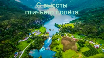 С высоты птичьего полёта