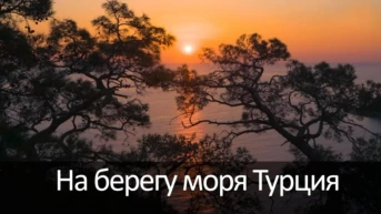 На берегу моря Турция