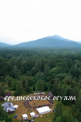 Средневековое оружие