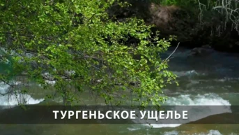 Тургеньское ущелье