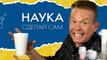 Наука: сделай сам