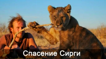 Спасение Сирги