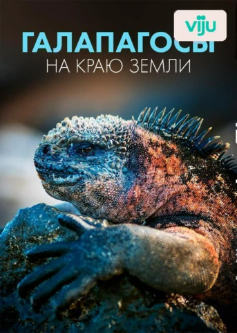 1 серия