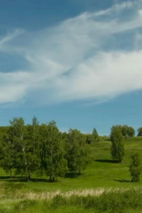 Роща