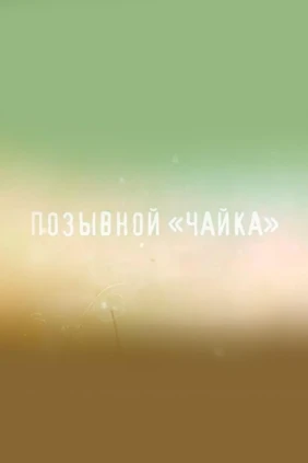 Позывной «Чайка»