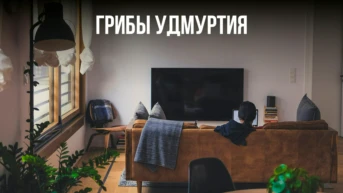 Грибы Удмуртия