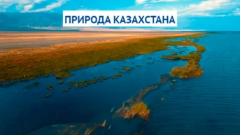 Природа Казахстана