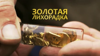 Золотая лихорадка