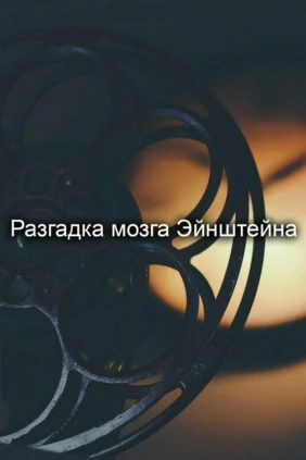 Разгадка мозга Эйнштейна