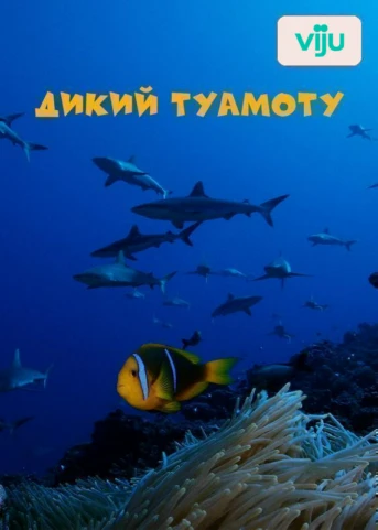 От заката до рассвета