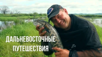 Дальневосточные путешествия