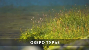 Озеро Турье