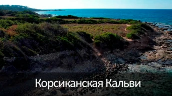 Корсиканская Кальви