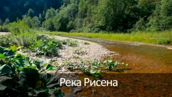 Река Рисена