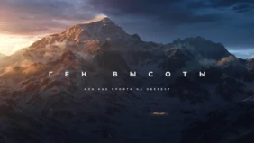 Трейлер 1