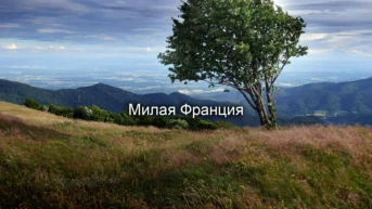 Милая Франция