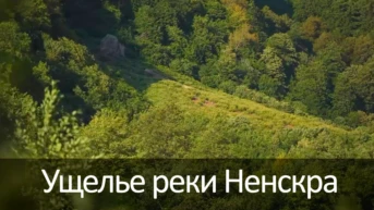 Ущелье реки Ненскра