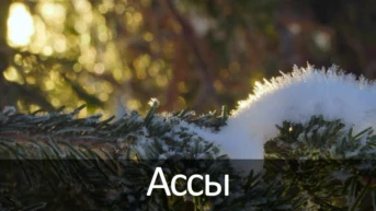 Ассы