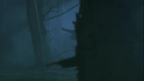 Трейлер 1