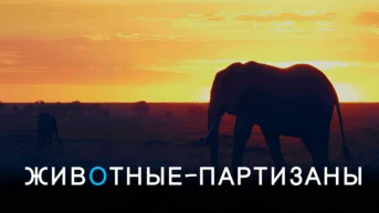 Животные - партизаны