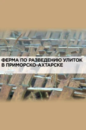 Ферма по разведению улиток в Приморско-Ахтарске
