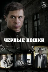 Чёрные кошки